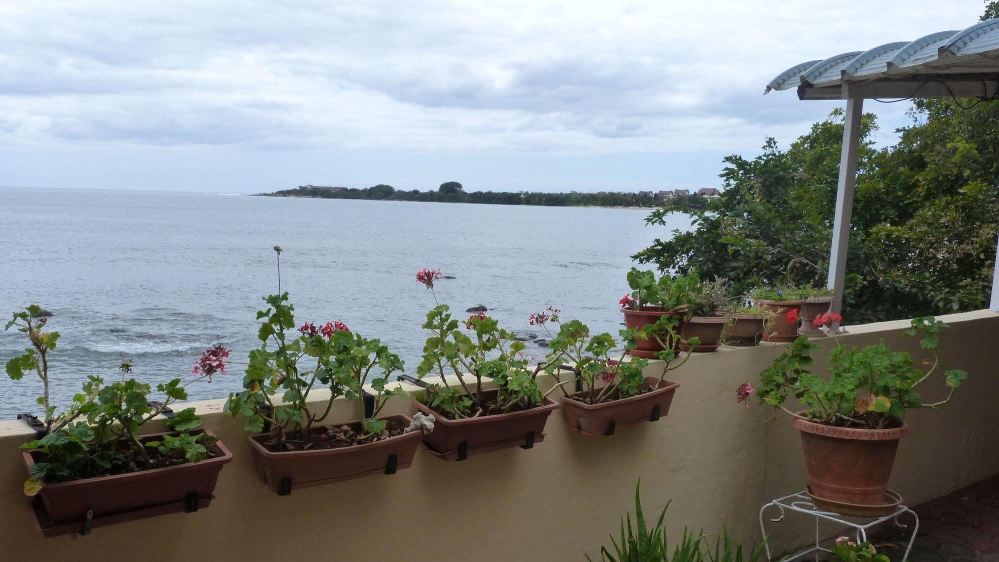 Le Cactus Guest House Mauritius Exterior photo