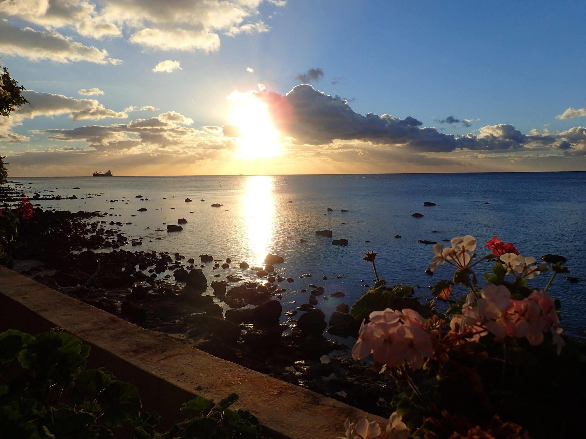 Le Cactus Guest House Mauritius Exterior photo